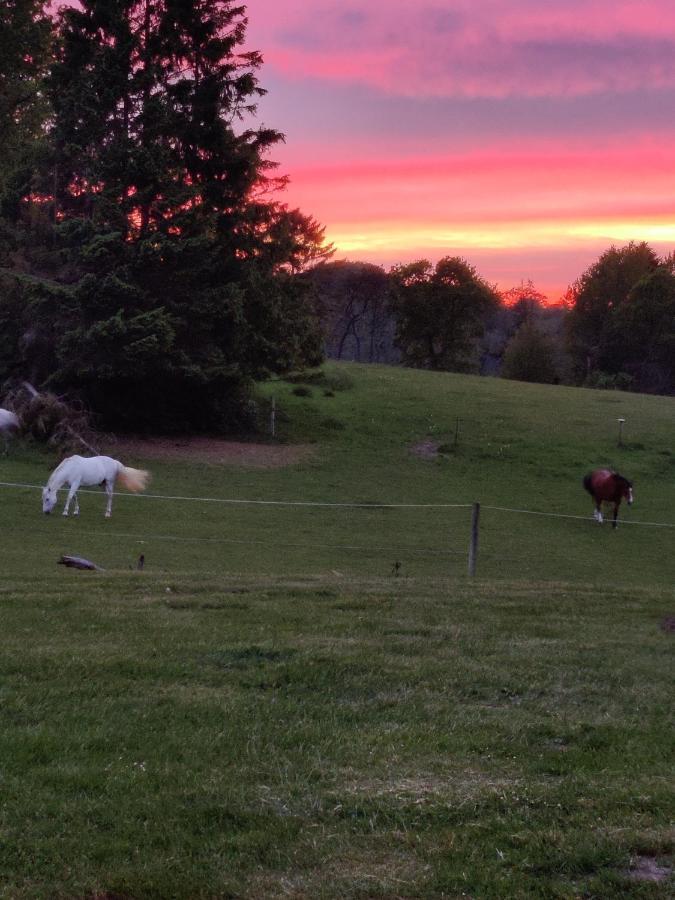 Appartamento Rosengard Hammel Esterno foto